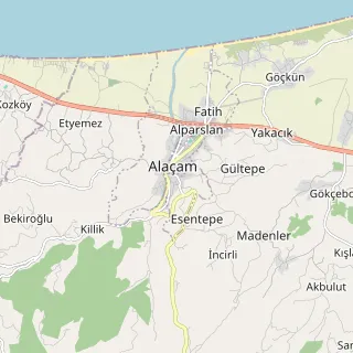 Alaçam Haritası