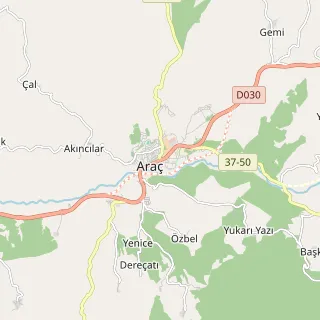 Araç Haritası