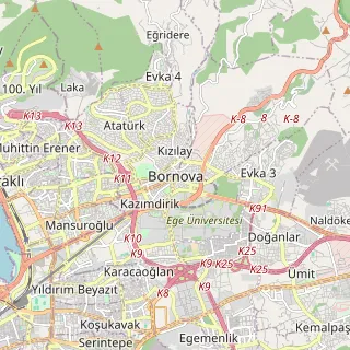 Bornova Haritası