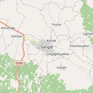 Sarıgöl Haritası